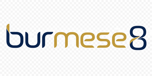 Burmese8